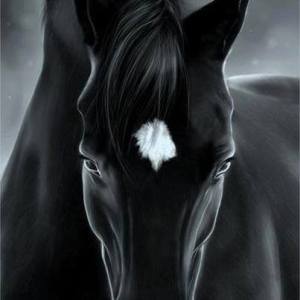 lili sorum blog horse caballo